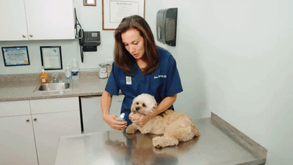 PawGuard Pro Smart Nail Clippers with Quick-Detection Sensors