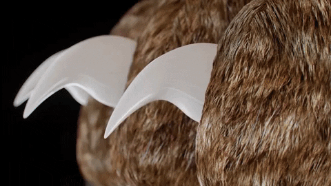 PawGuard Pro Smart Nail Clippers with Quick-Detection Sensors