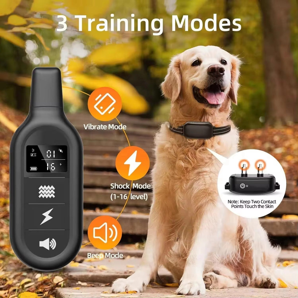 Collier de dressage pour chien avec télécommande – Étanche, portée 1000 m, bip, vibration et 16 niveaux réglables