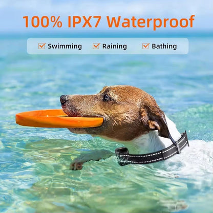 Collier de dressage pour chien avec télécommande – Étanche, portée 1000 m, bip, vibration et 16 niveaux réglables